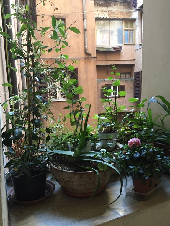 Casa Magiuli' Navona Apartment Rome Bagian luar foto